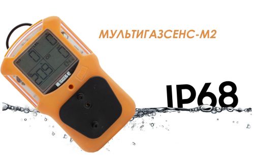 МУЛЬТИГАЗСЕНС-М2 с IP 68